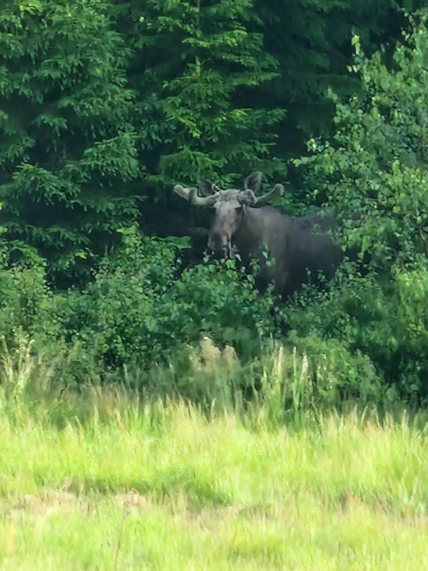 Wild Lodge Nol Eksteriør bilde