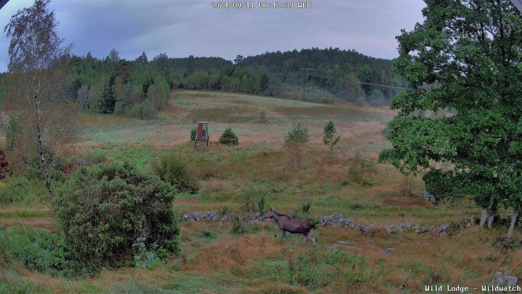 Wild Lodge Nol Eksteriør bilde