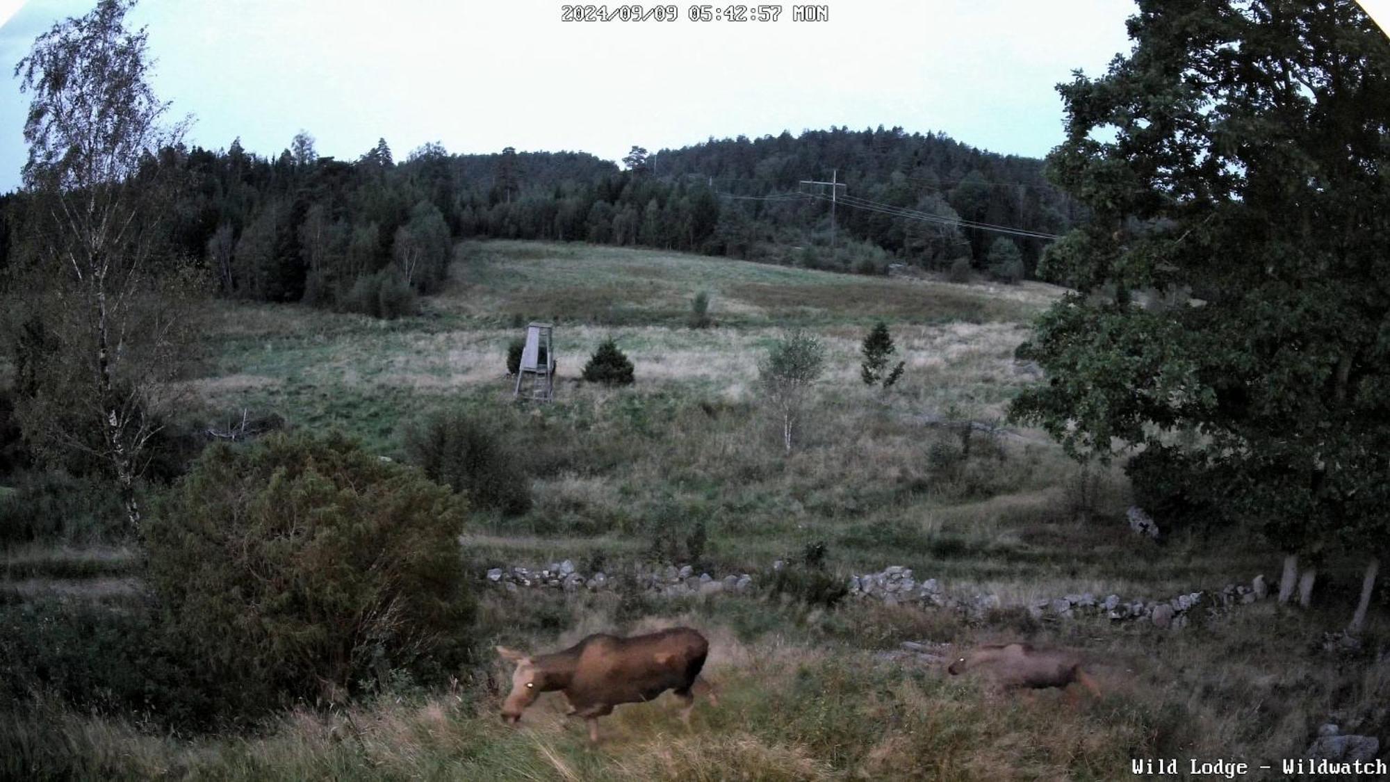 Wild Lodge Nol Eksteriør bilde